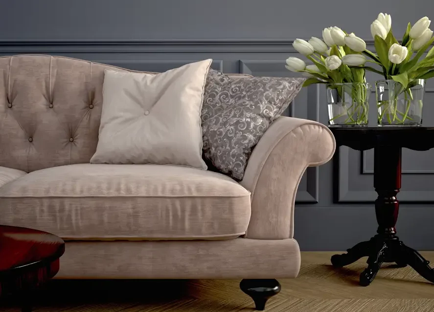 couch and end table